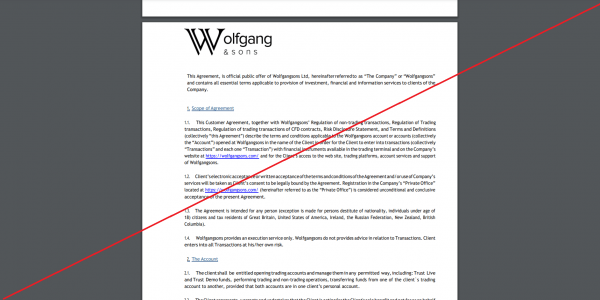 Wolfgang & sons – Заработок на трейдинге и инвестициях. Реальные отзывы о wolfgangsons.com